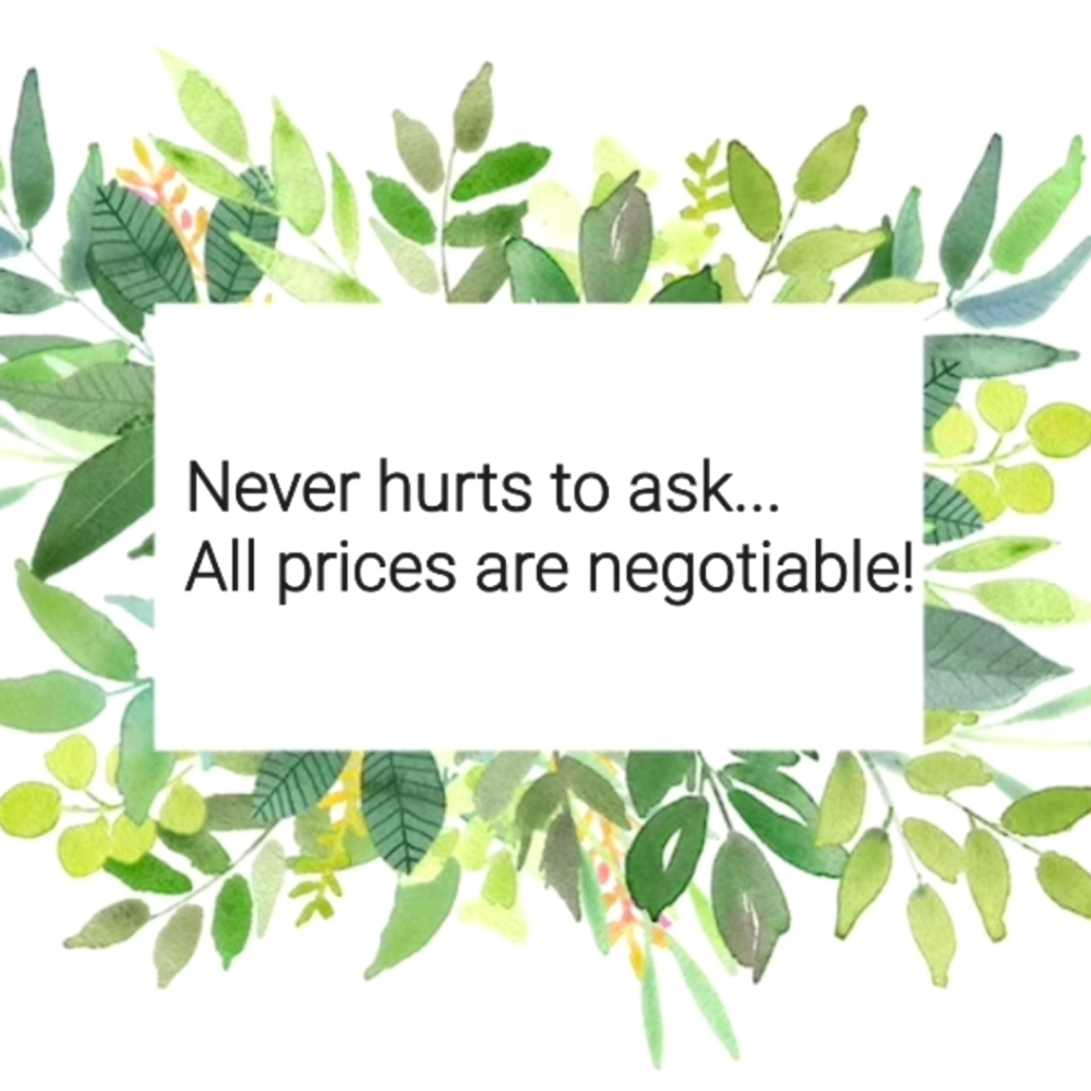 🌿Shoot me a offer!❤